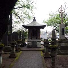 投稿日:2016年4月24日 写真