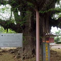 投稿日:2016年4月24日 写真