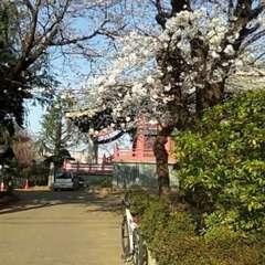 投稿日:2022年10月30日 写真