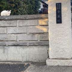 寶龜山 金蔵院(投稿日:2023年12月14日) 写真