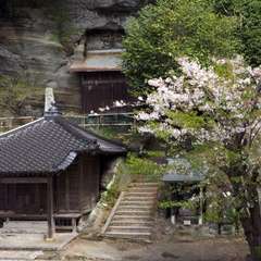 投稿日:2016年4月13日 写真