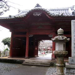 投稿日:2024年3月6日 写真