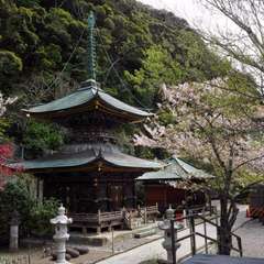 投稿日:2016年4月13日 写真