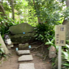 護念山 證誠寺(投稿日:2024年6月24日) 写真
