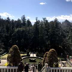 投稿日:2025年8月15日 写真