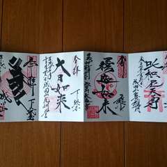 投稿日:2016年6月10日 写真