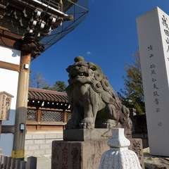 投稿日:2016年1月1日 写真