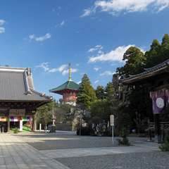 投稿日:2016年1月1日 写真