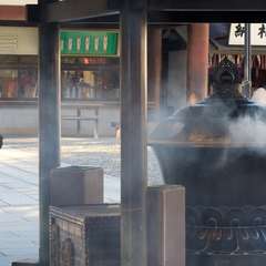 投稿日:2016年1月1日 写真