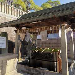 投稿日:2016年1月1日 写真