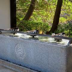 投稿日:2016年1月1日 写真