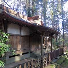 投稿日:2016年1月1日 写真