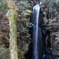 投稿日:2016年1月1日 写真