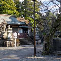 投稿日:2016年1月1日 写真