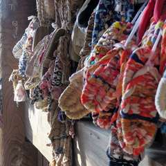 投稿日:2016年1月1日 写真