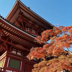 投稿日:2021年12月3日 写真