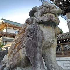 投稿日:2021年12月3日 写真