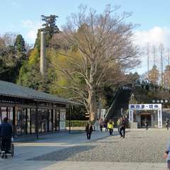 投稿日:2016年1月1日 写真