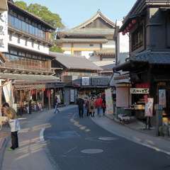 投稿日:2016年1月1日 写真