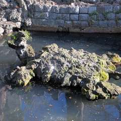 投稿日:2016年1月1日 写真