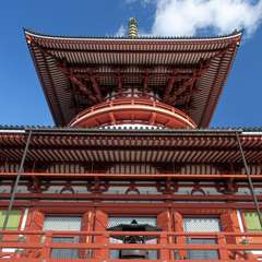 投稿日:2016年1月1日 写真