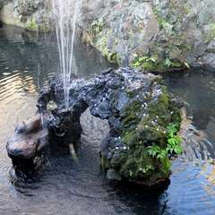 投稿日:2016年1月1日 写真