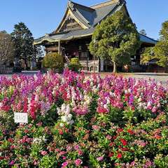 投稿日:2021年12月3日 写真