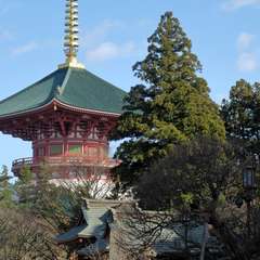 投稿日:2016年1月1日 写真