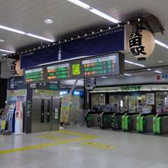 投稿日:2016年1月1日 写真