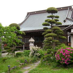 根本山 湊済寺(投稿日:2024年4月29日) 写真