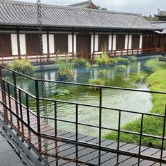 真光寺(投稿日:2022年10月23日) 写真