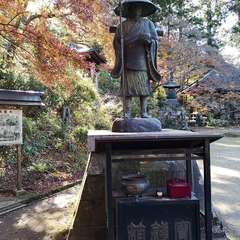 投稿日:2021年12月5日 写真