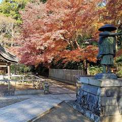 投稿日:2021年12月5日 写真