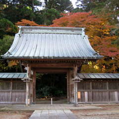 投稿日:2023年12月9日 写真