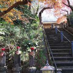 投稿日:2021年12月5日 写真