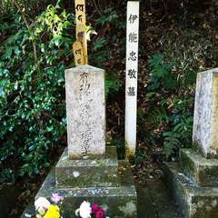 投稿日:2021年12月5日 写真