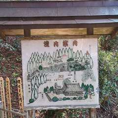 投稿日:2021年12月5日 写真