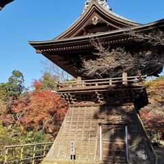 投稿日:2021年12月5日 写真