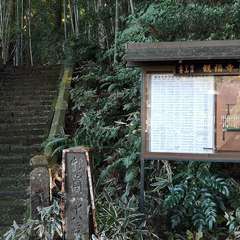 投稿日:2021年12月5日 写真