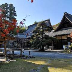 投稿日:2021年12月5日 写真