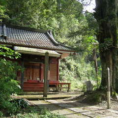 医王山 法興寺(投稿日:2024年10月2日) 写真