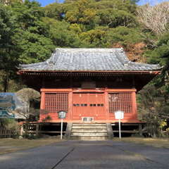 投稿日:2023年3月12日 写真