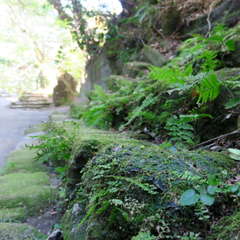 投稿日:2023年3月12日 写真