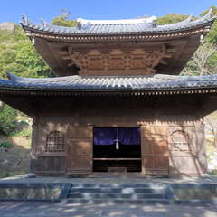 投稿日:2023年3月12日 写真