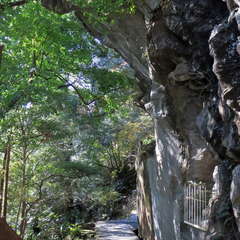 投稿日:2023年3月12日 写真