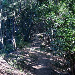 投稿日:2023年3月12日 写真