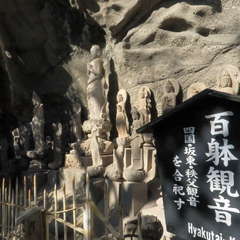 投稿日:2023年3月12日 写真