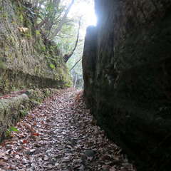 投稿日:2023年3月12日 写真