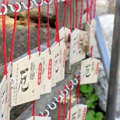 投稿日:2023年3月12日 写真