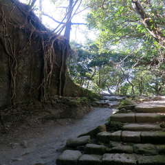 投稿日:2023年3月12日 写真